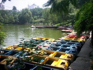 rowing boats in renmin park